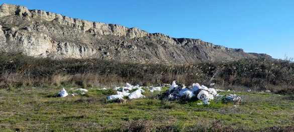 Vertidos-Alfocea01-(3)