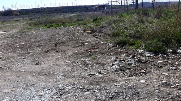 Cogullada_2 13Mar2021 (3)