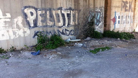 Cogullada_2 13Mar2021 (5)