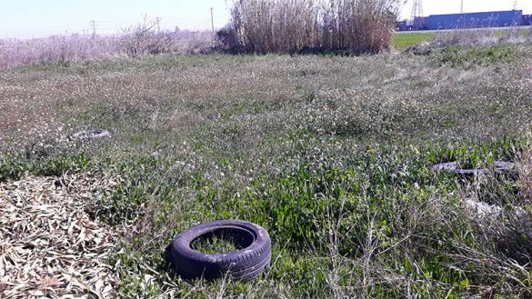 San Juan 13Mar2021 (11)