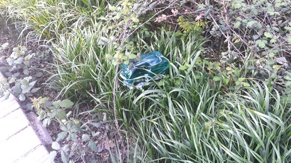 Zaragoza-29MAR2021-(10)