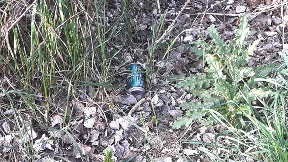 Zaragoza-29MAR2021-(11)