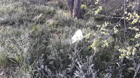 Zaragoza-29MAR2021-(8)