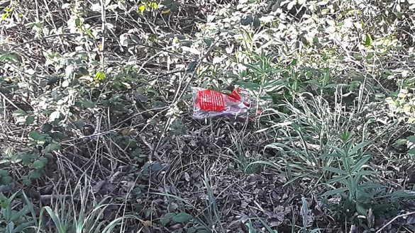 Zaragoza-29MAR2021-(9)