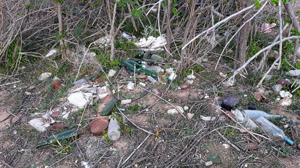 Canal 01ABR2021 (12)