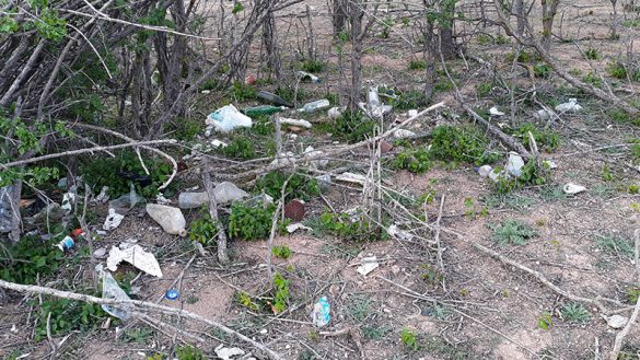 Canal 01ABR2021 (14)