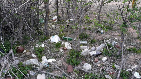 Canal 01ABR2021 (15)