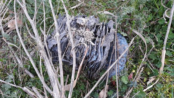 Canal 01ABR2021 (16)