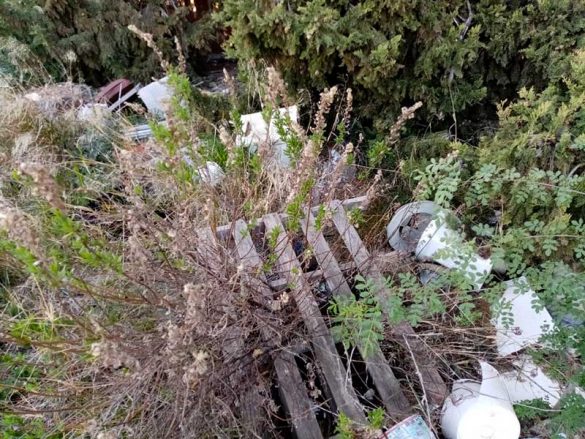 Miralbueno_Camino_Pollero(3)