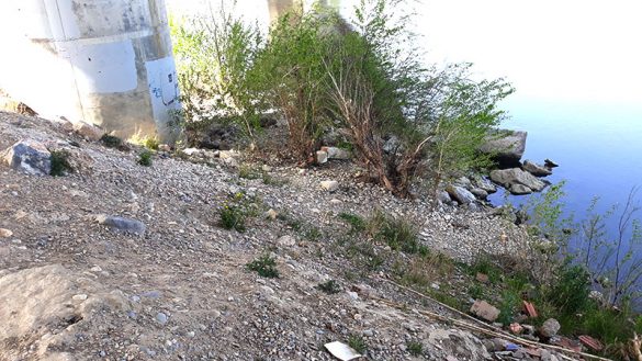 Movera 31MAR2021 (1)