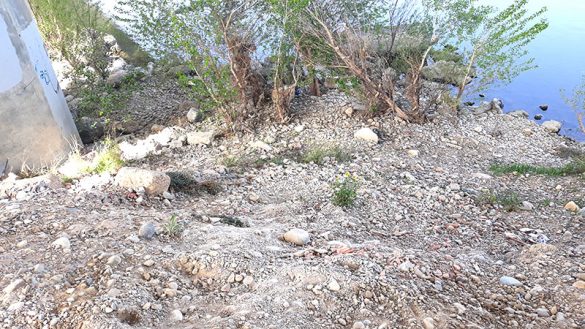 Movera 31MAR2021 (2)