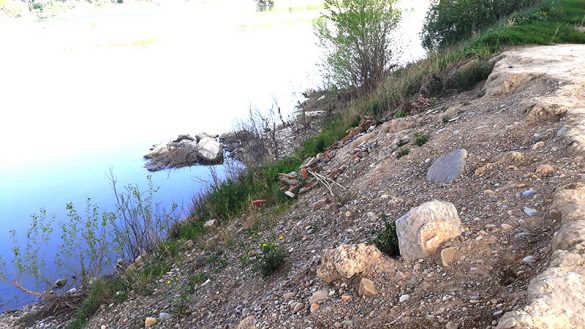 Movera-31MAR2021-(3)