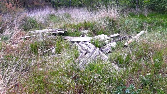 San-Juan-Mozarrifar-24ABR2021-(2)