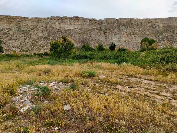 Alfocea 22MAY2021(2)