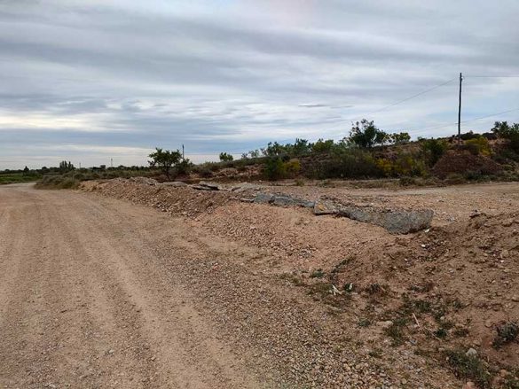 Pinseque 22MAY2021 (1)