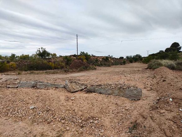 Pinseque 22MAY2021 (2)