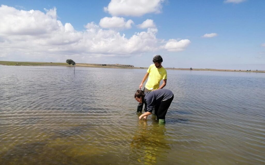 Toma de muestras en La Laguna de Gallocanta, julio 2024. Fuente: Javier Santos