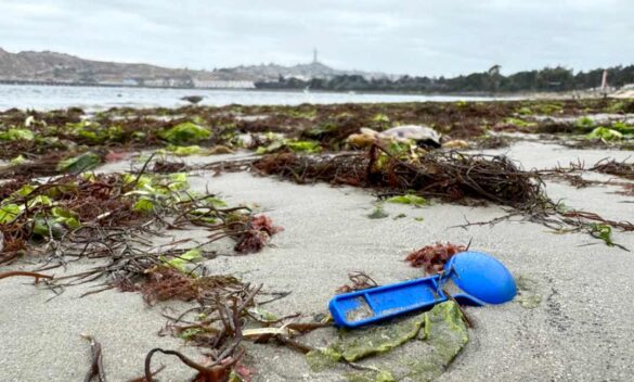 Basura en nuestras playas.