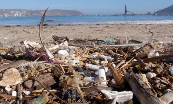 Basura en nuestras playas.