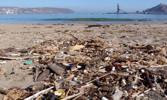 Basura en nuestras playas.