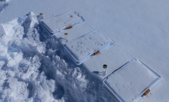 Microplásticos añadidos a bandejas que contienen una cantidad conocida de nieve superficial.