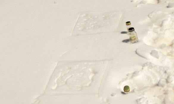 2. Different types and concentrations of microplastics added to patches of surface snow.
