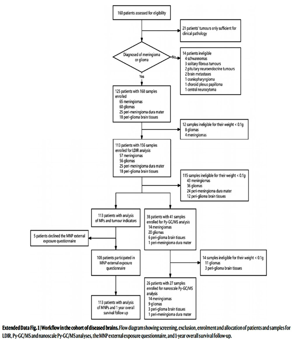 Workflow in the cohort of diseased brains.