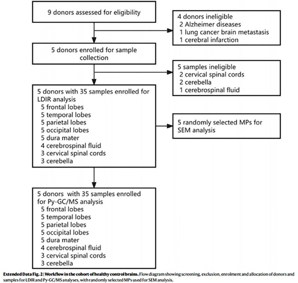 Workflow in the cohort of healthy brains.